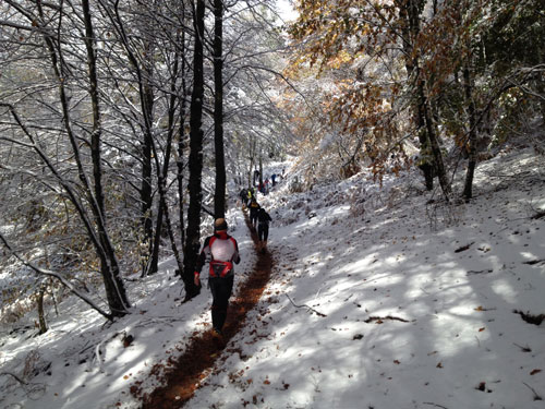 Trail del Casto 2012 con la neve - Domenica previsti 10°/14°: una prova lampante del surriscaldamento del globo terrestre